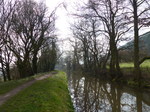 FZ003578 Trees by canal.jpg